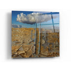 Epic Art 'Susza' by Dariusz Klimczak, Acrylic Glass Wall Art