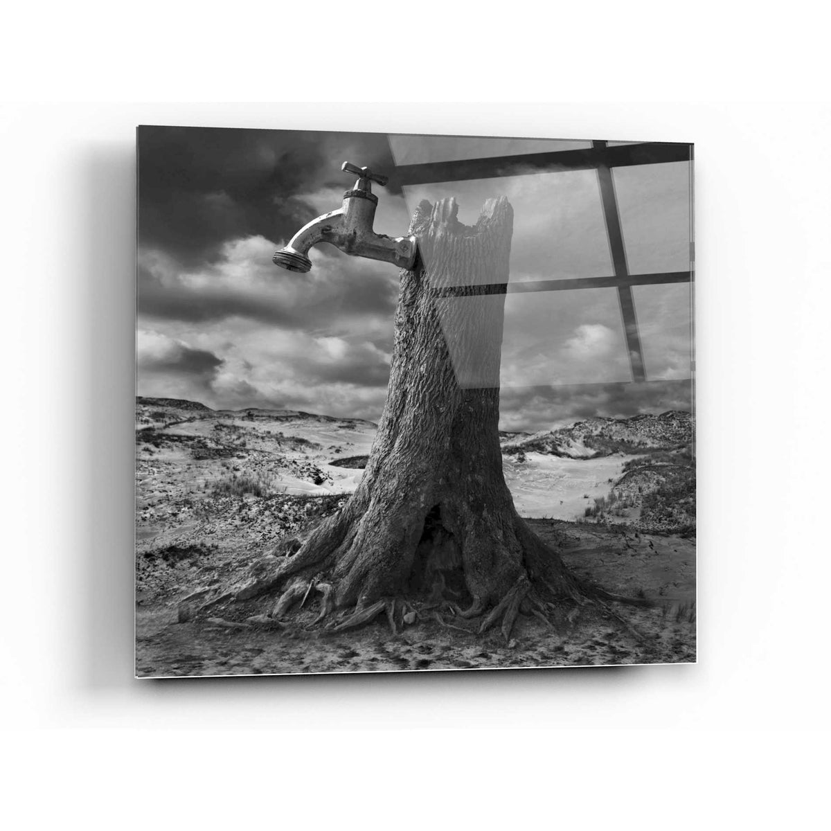 Epic Art 'Dry' by Dariusz Klimczak, Acrylic Glass Wall Art