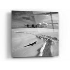 Epic Art 'Snowy Lizard' by Dariusz Klimczak, Acrylic Glass Wall Art