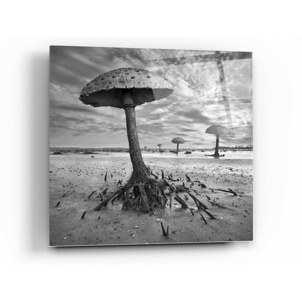 Epic Art 'Kanie' by Dariusz Klimczak, Acrylic Glass Wall Art