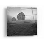 Epic Art 'Leave Alley' by Dariusz Klimczak, Acrylic Glass Wall Art