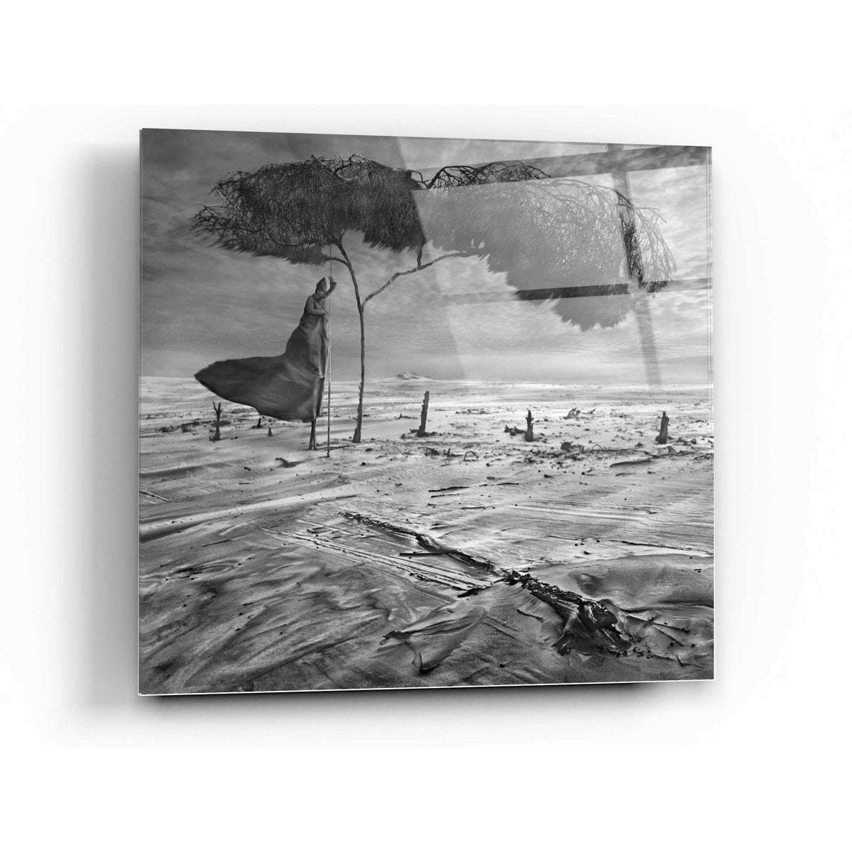 Epic Art 'Sower' by Dariusz Klimczak, Acrylic Glass Wall Art