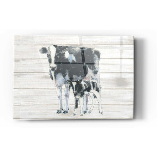 Epic Art 'Cow and Calf on Wood' by Emily Adams, Acrylic Glass Wall Art