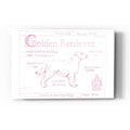 Epic Art 'Blueprint Golden Retriever in Pink' by Ethan Harper Acrylic Glass Wall Art
