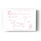 Epic Art 'Blueprint Golden Retriever in Pink' by Ethan Harper Acrylic Glass Wall Art