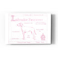 Epic Art 'Blueprint Labrador Retriever in Pink' by Ethan Harper Acrylic Glass Wall Art