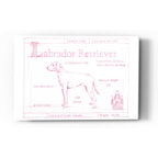 Epic Art 'Blueprint Labrador Retriever in Pink' by Ethan Harper Acrylic Glass Wall Art