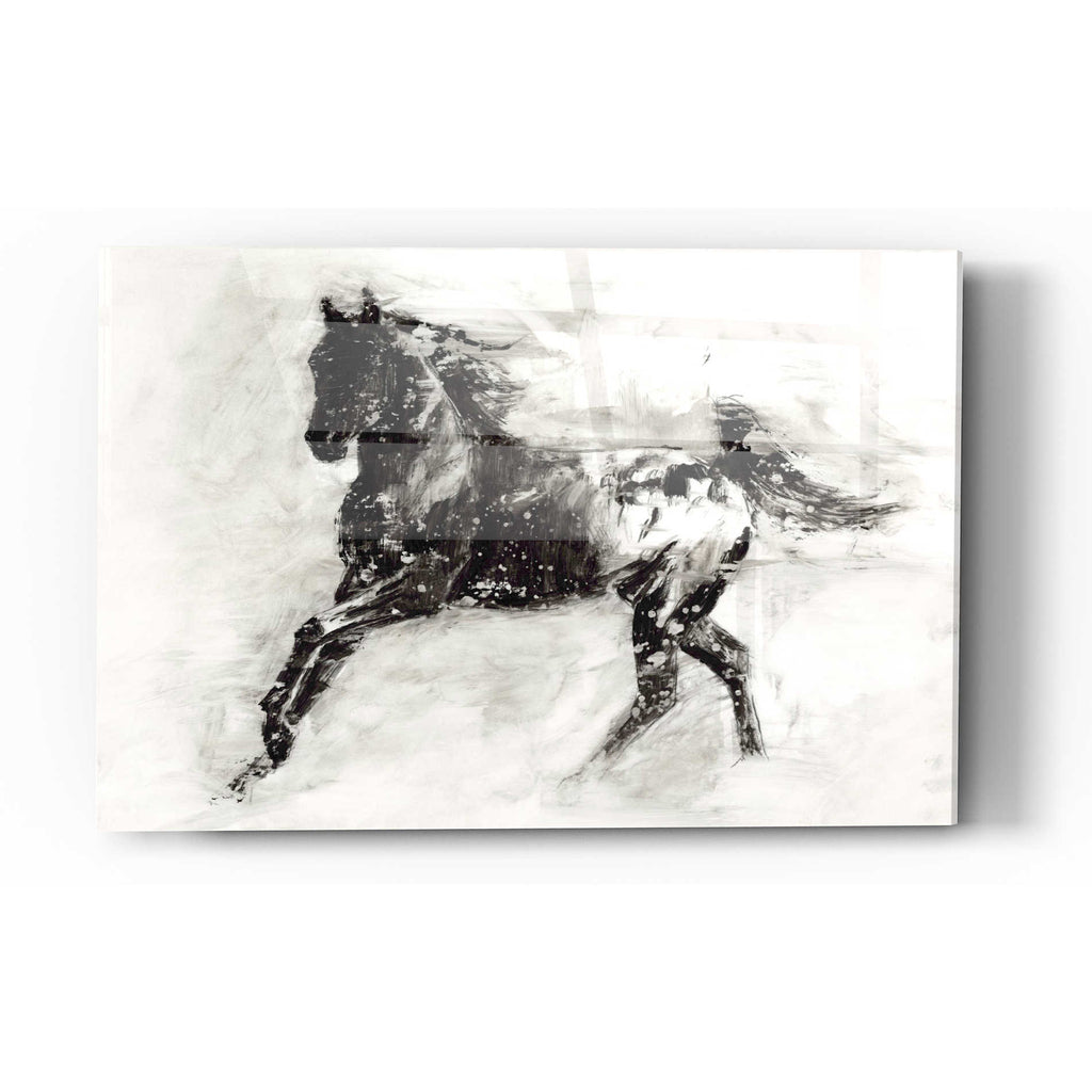 Epic Art 'Rustic Appaloosa II' by Ethan Harper Acrylic Glass Wall Art