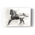 Epic Art 'Rustic Appaloosa II' by Ethan Harper Acrylic Glass Wall Art