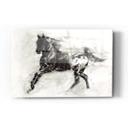 Epic Art 'Rustic Appaloosa II' by Ethan Harper Acrylic Glass Wall Art