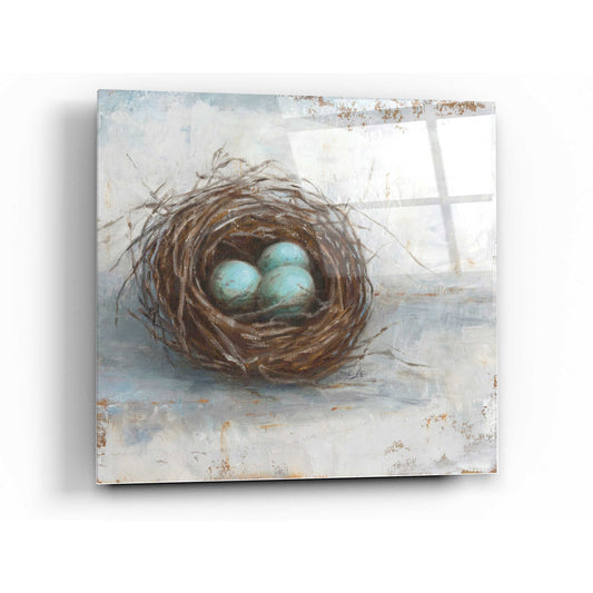 Epic Art 'Rustic Bird Nest I' by Ethan Harper Acrylic Glass Wall Art