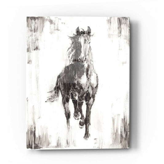 Epic Art 'Rustic Black Stallion I' by Ethan Harper Acrylic Glass Wall Art