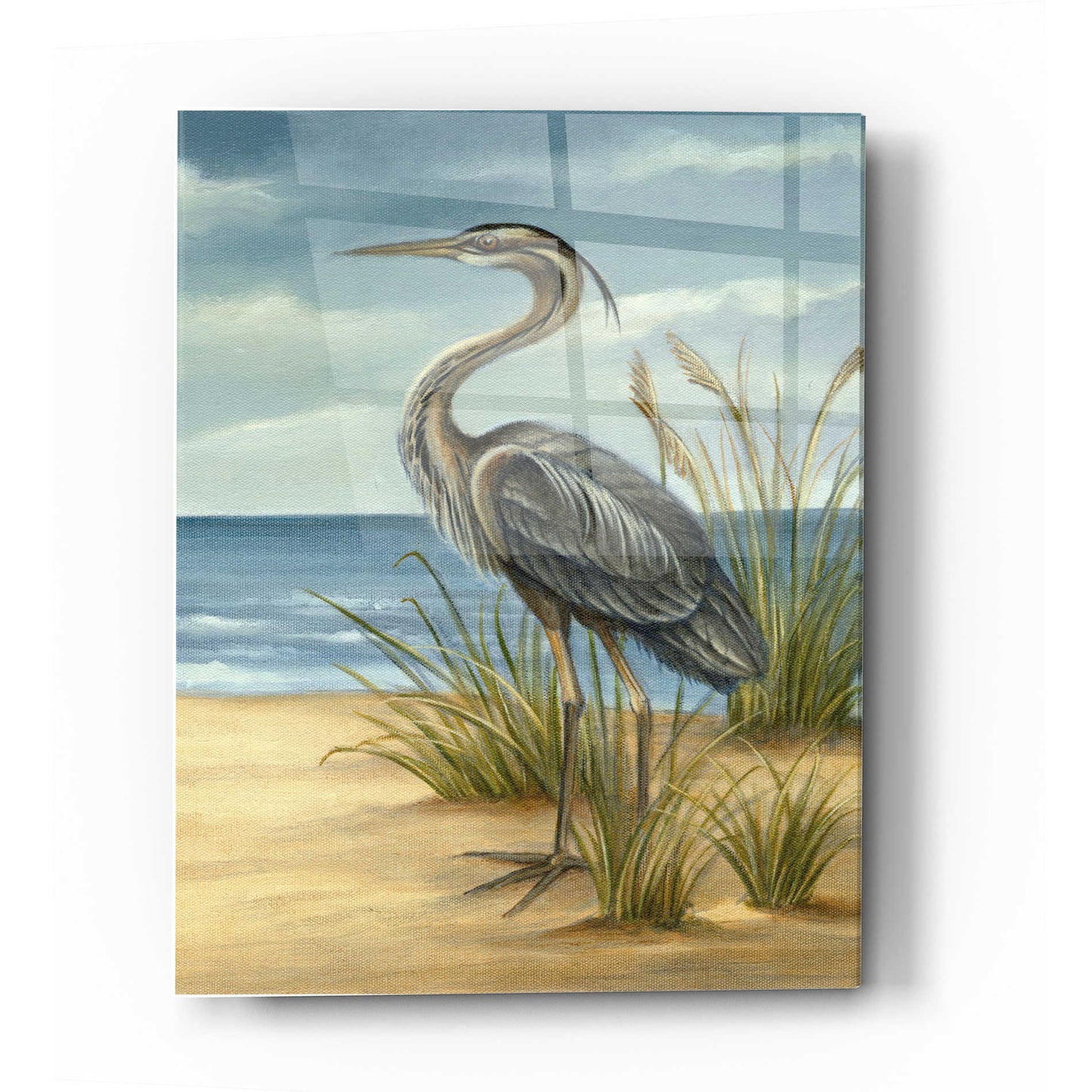 Epic Art 'Shore Bird II' by Ethan Harper Acrylic Glass Wall Art