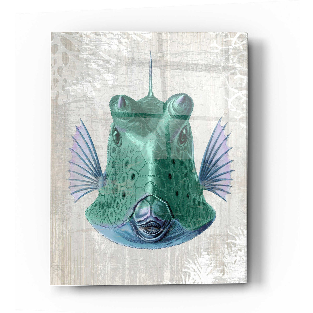 Epic Art 'Cowfish' by Fab Funky Acrylic Glass Wall Art