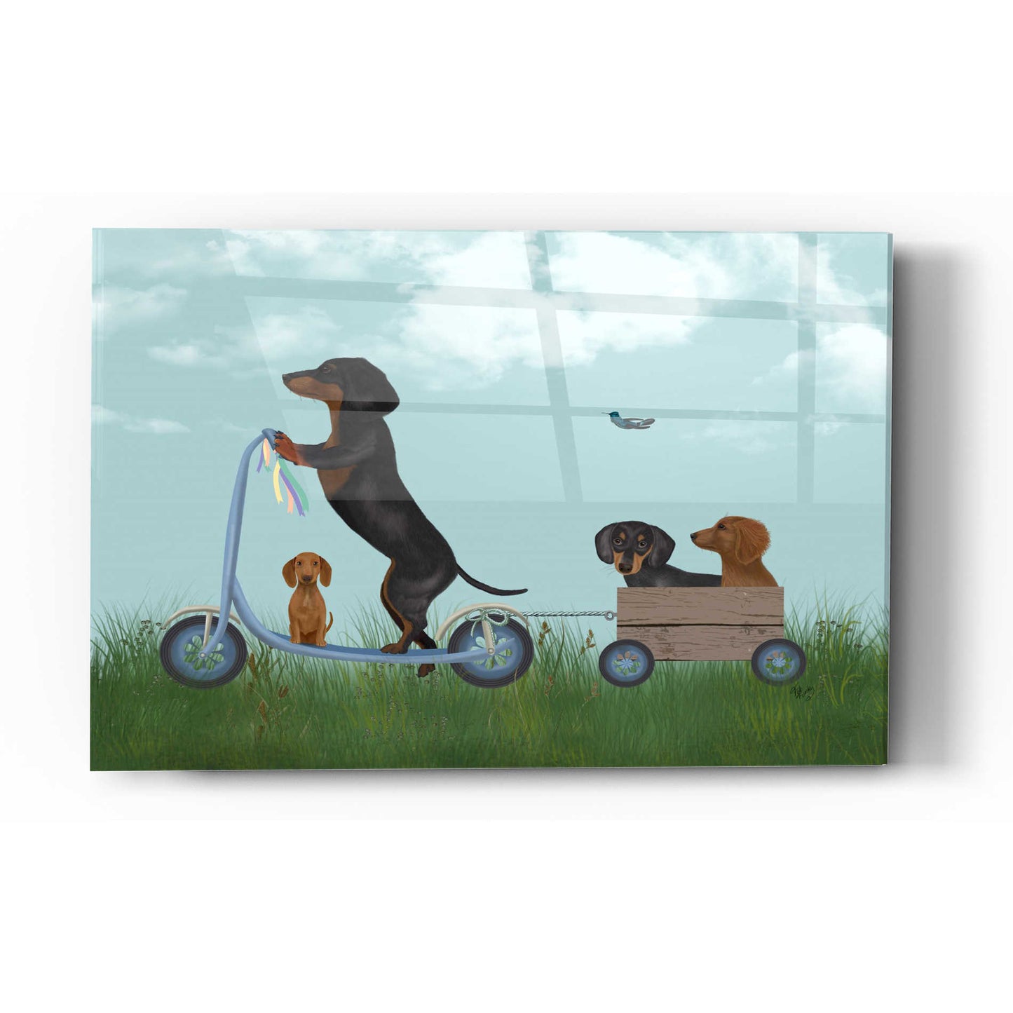 Epic Art 'Dachshund Scooter' by Fab Funky Acrylic Glass Wall Art