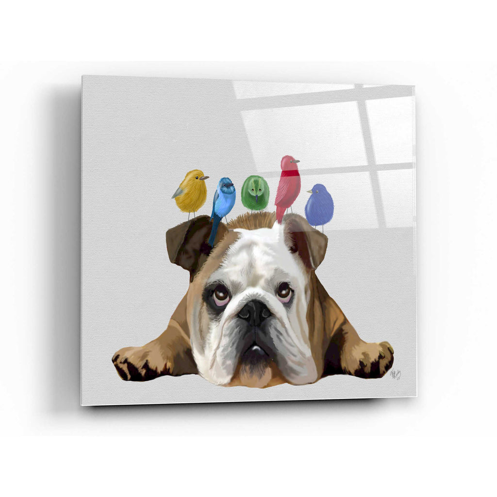 Epic Art 'English Bulldog and Birds' by Fab Funky Acrylic Glass Wall Art