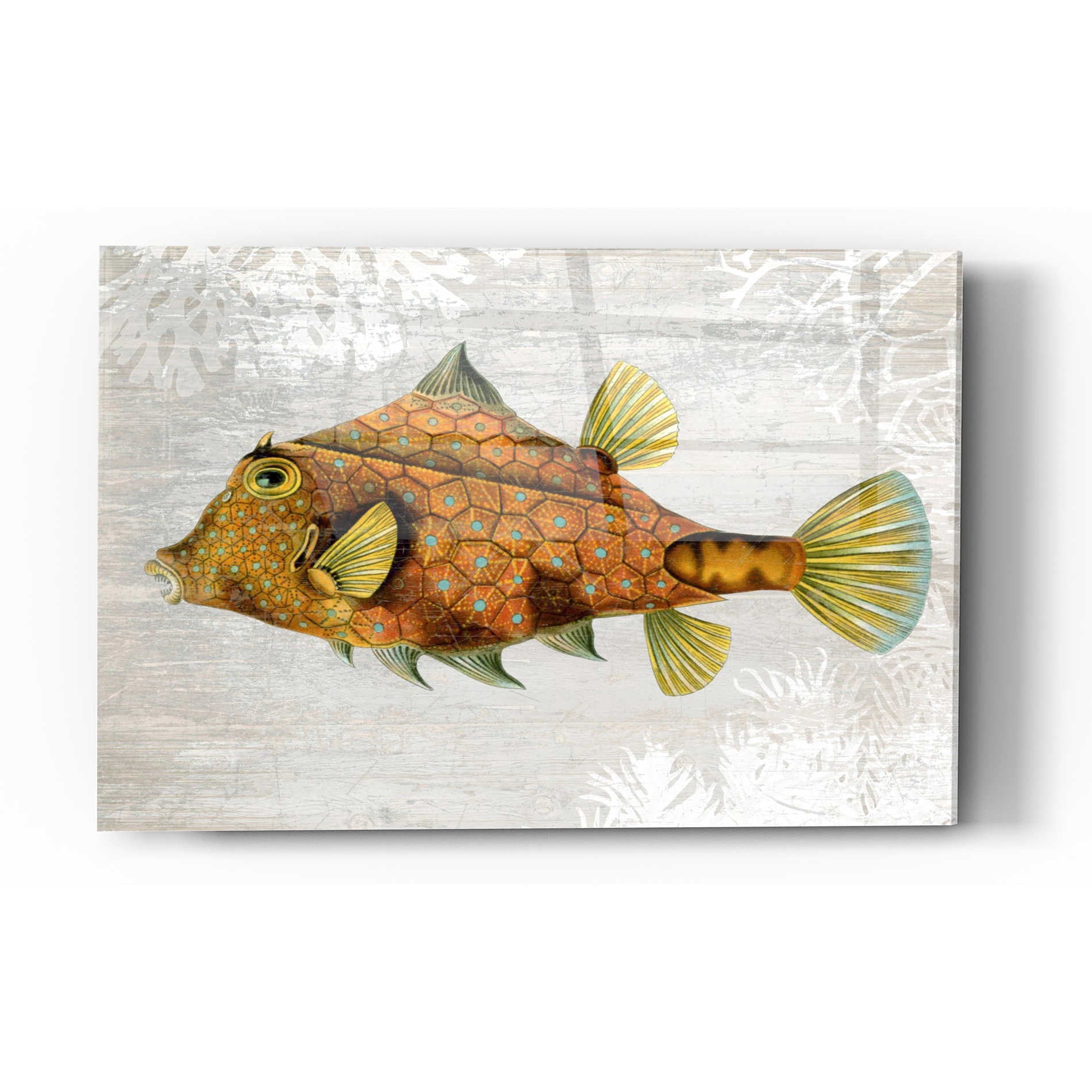 Epic Art 'Gold Turret Fish' by Fab Funky Acrylic Glass Wall Art