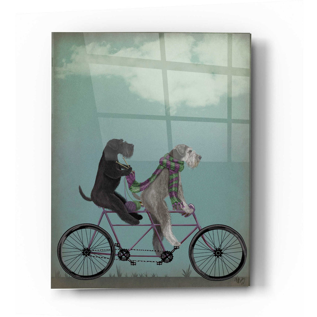 Epic Art 'Schnauzer Tandem' by Fab Funky Acrylic Glass Wall Art