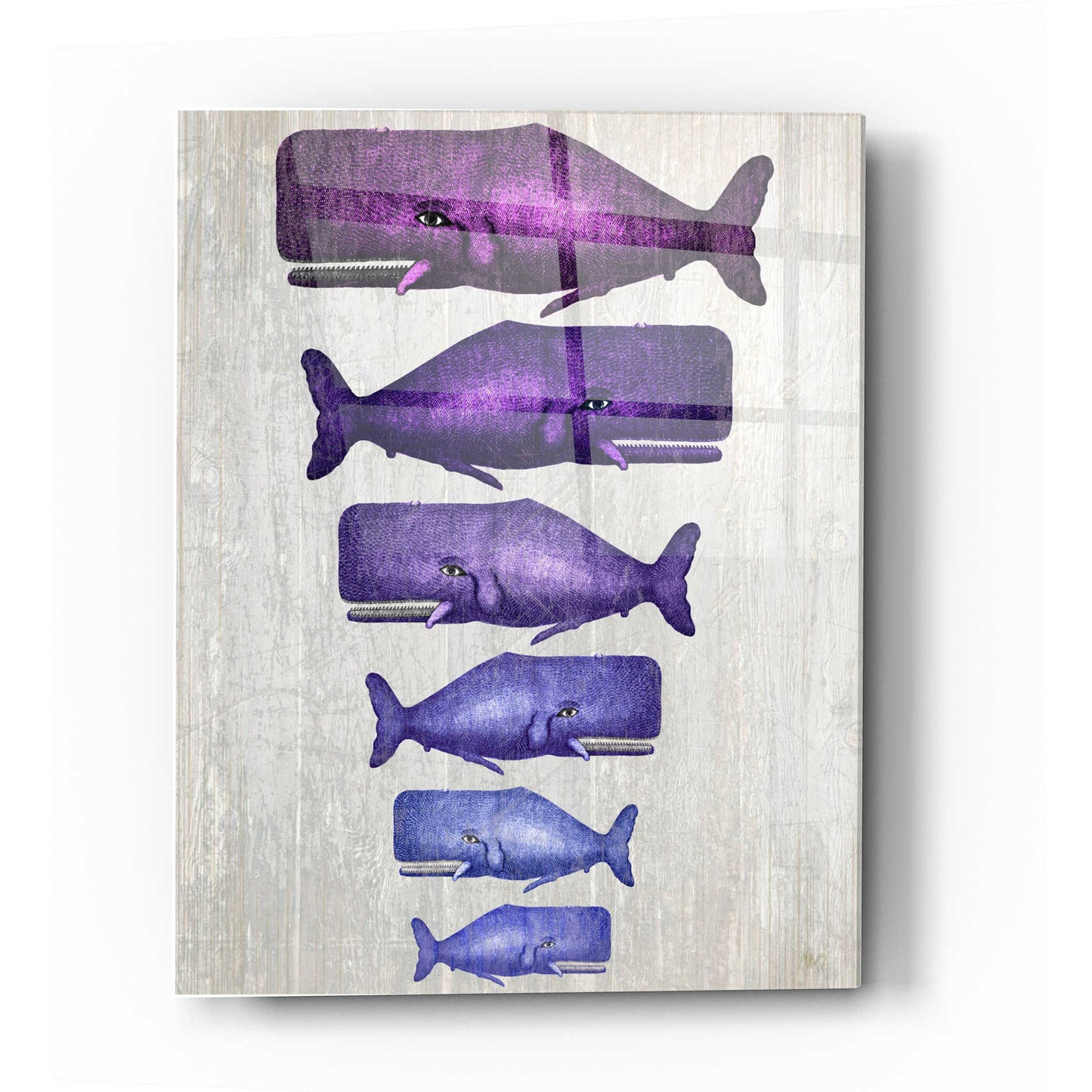 Epic Art 'Whale Family Purple on White' by Fab Funky Acrylic Glass Wall Art