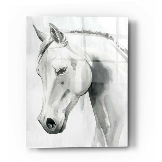 Epic Art 'Horse Whisper I' by Grace Popp Acrylic Glass Wall Art
