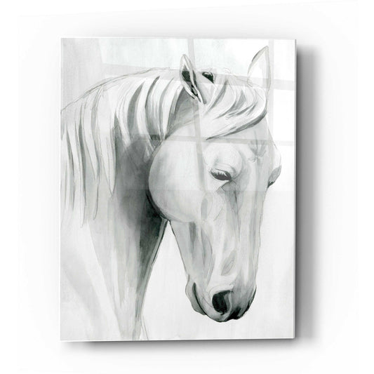 Epic Art 'Horse Whisper II' by Grace Popp Acrylic Glass Wall Art