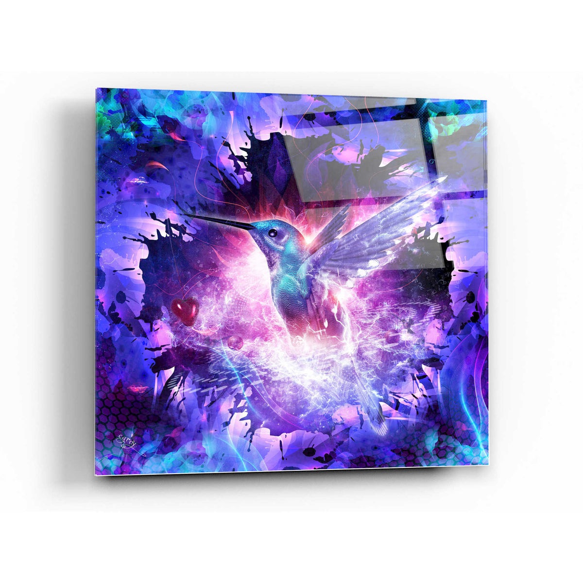 Epic Art "Hummingbird Love" by Cameron Gray, Acrylic Glass Wall Art