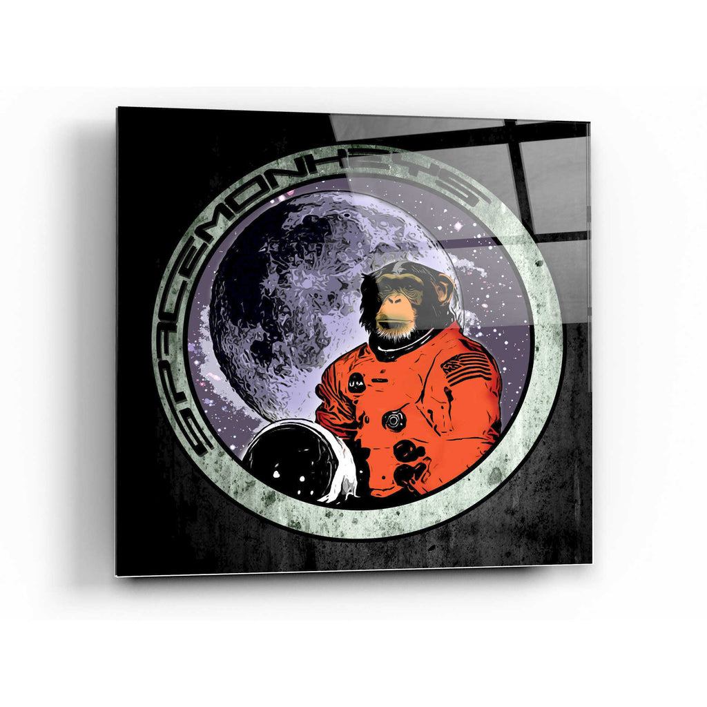 Epic Art 'Space Monkeys' by Nicklas Gustafsson, Acrylic Glass Wall Art
