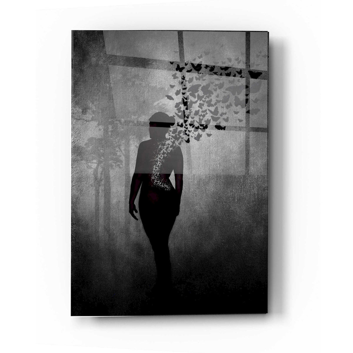 Epic Art 'The Butterfly Transformation' by Nicklas Gustafsson, Acrylic Glass Wall Art