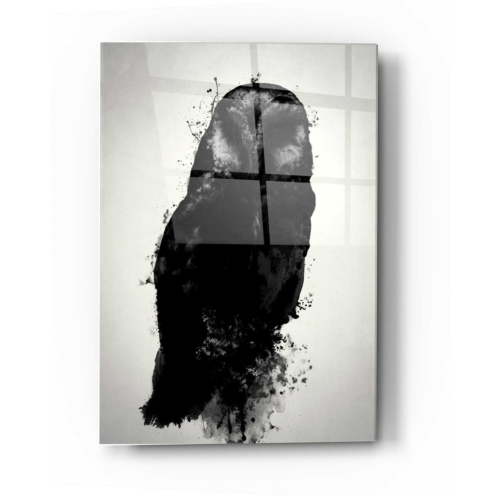 Epic Art 'The Owl' by Nicklas Gustafsson, Acrylic Glass Wall Art