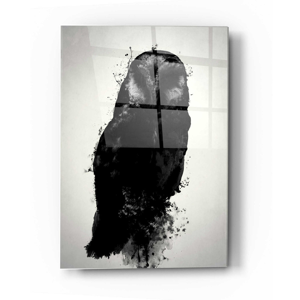 Epic Art 'The Owl' by Nicklas Gustafsson, Acrylic Glass Wall Art