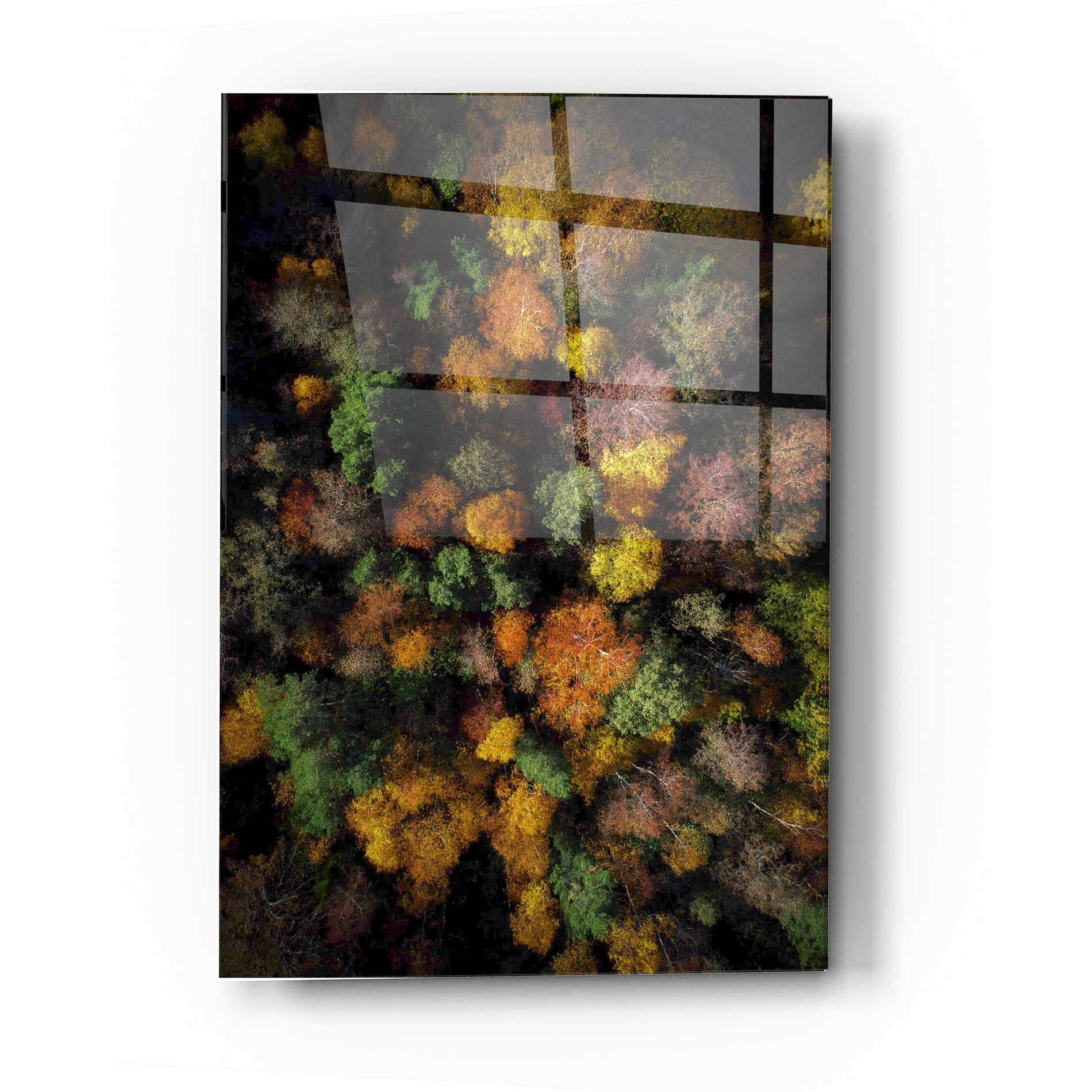 Epic Art 'Autumn Forest - Aerial Photography' by Nicklas Gustafsson, Acrylic Glass Wall Art