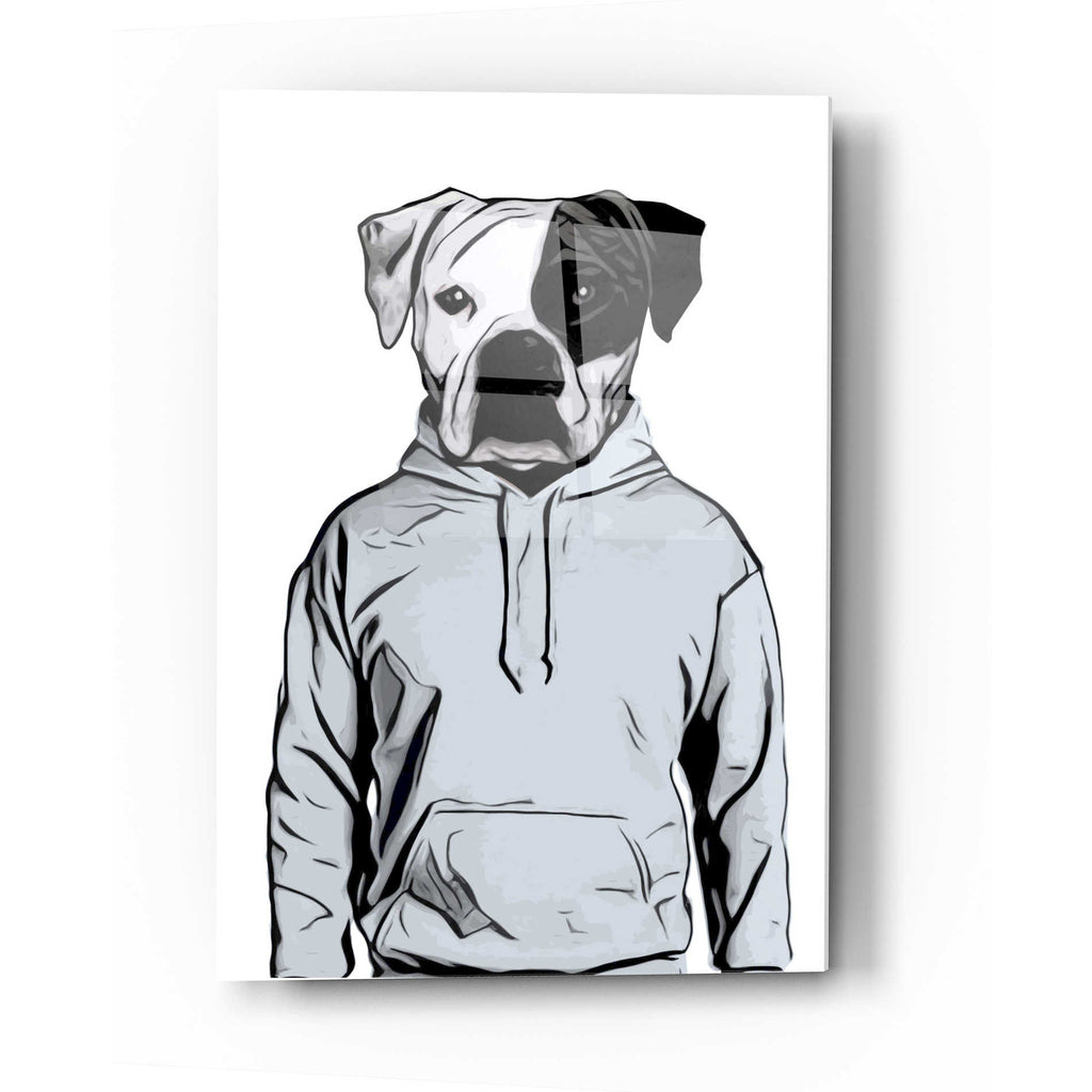 Epic Art 'Cool Dog' by Nicklas Gustafsson, Acrylic Glass Wall Art