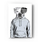 Epic Art 'Cool Dog' by Nicklas Gustafsson, Acrylic Glass Wall Art