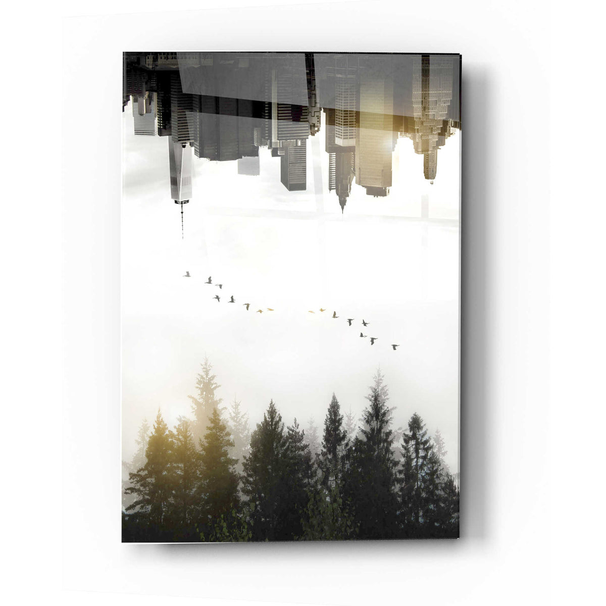 Epic Art 'Duality' by Nicklas Gustafsson, Acrylic Glass Wall Art