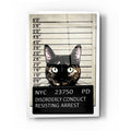 Epic Art 'Kitty Mugshot' by Nicklas Gustafsson, Acrylic Glass Wall Art