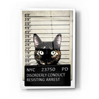 Epic Art 'Kitty Mugshot' by Nicklas Gustafsson, Acrylic Glass Wall Art