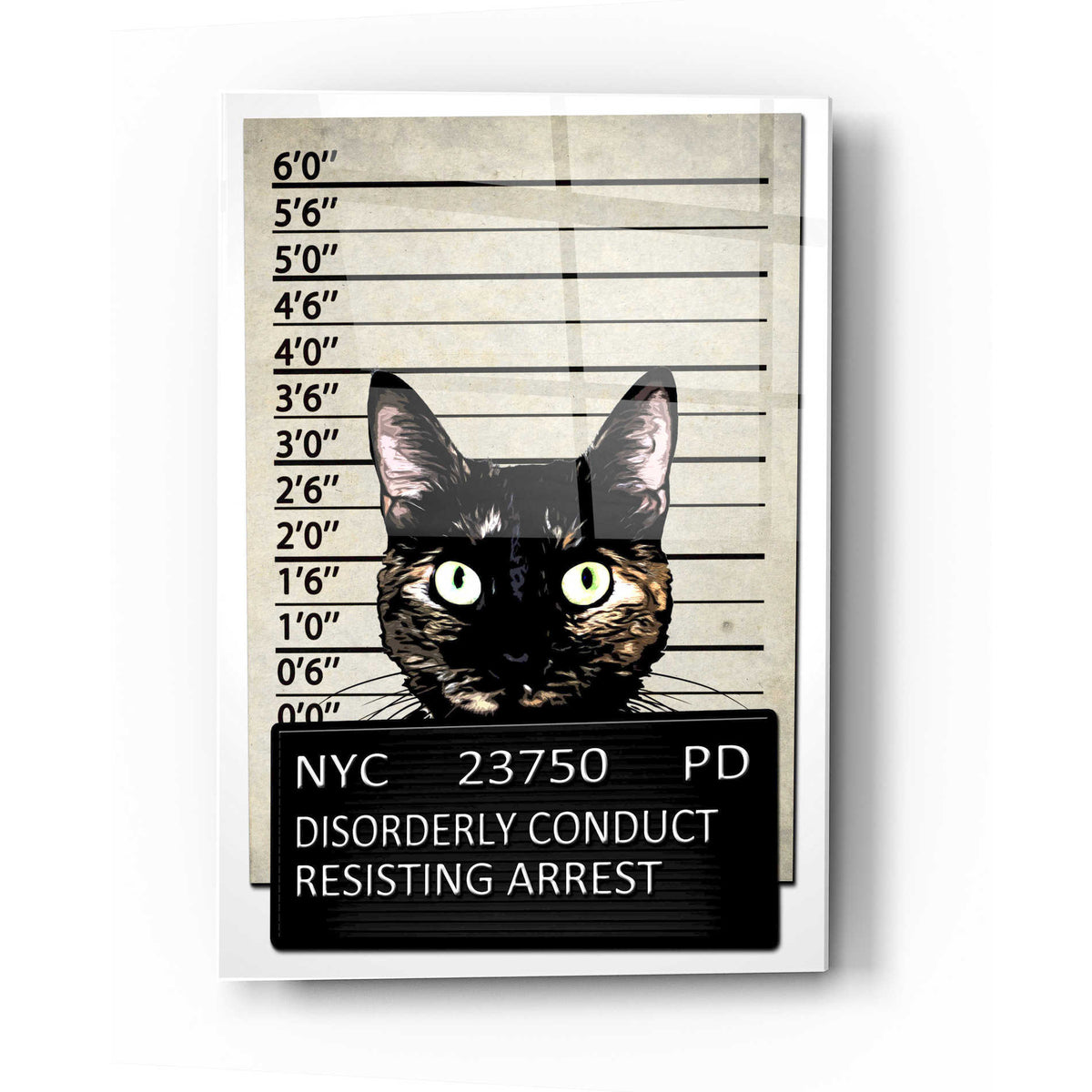 Epic Art 'Kitty Mugshot' by Nicklas Gustafsson, Acrylic Glass Wall Art