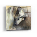 Epic Art 'Classical Horse' by Marilyn Hageman, Acrylic Glass Wall Art