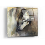 Epic Art 'Classical Horse' by Marilyn Hageman, Acrylic Glass Wall Art