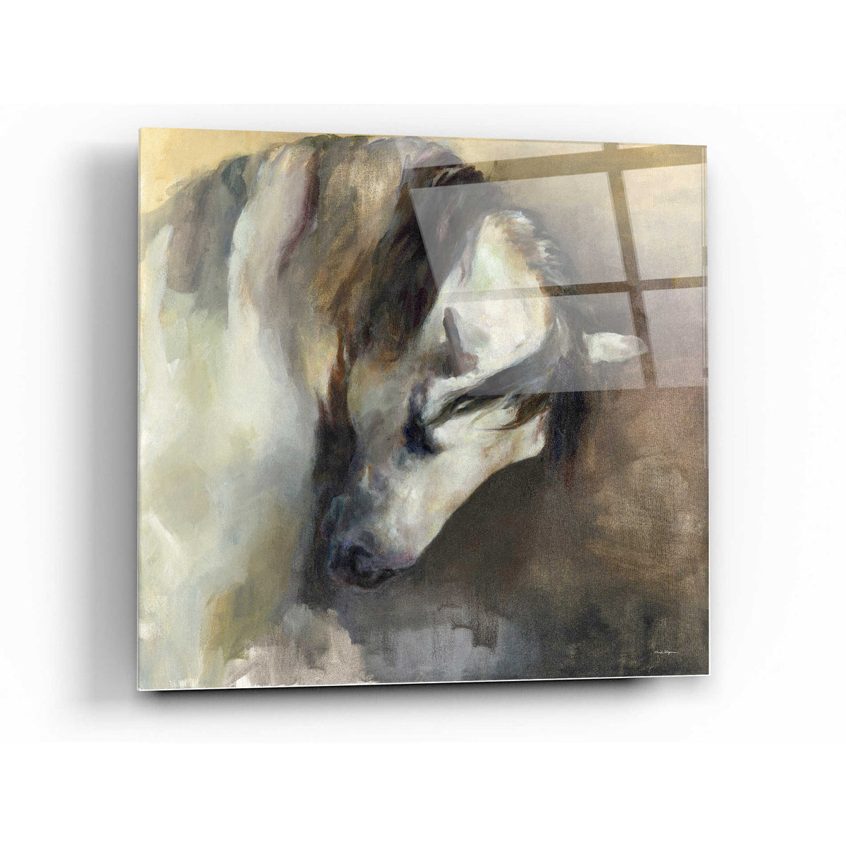Epic Art 'Classical Horse' by Marilyn Hageman, Acrylic Glass Wall Art