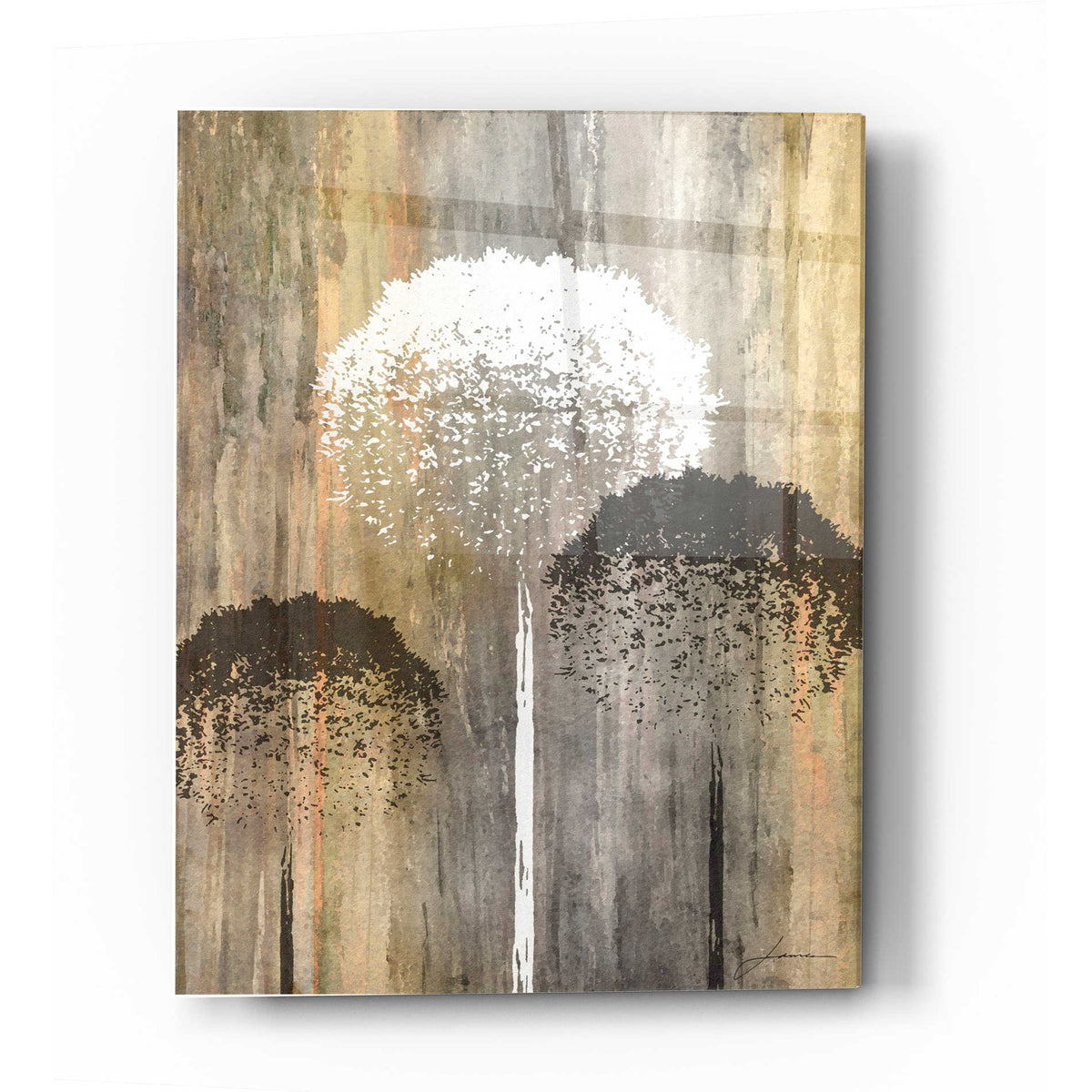 Epic Art 'Rustic Garden I' by James Burghardt, Acrylic Glass Wall Art