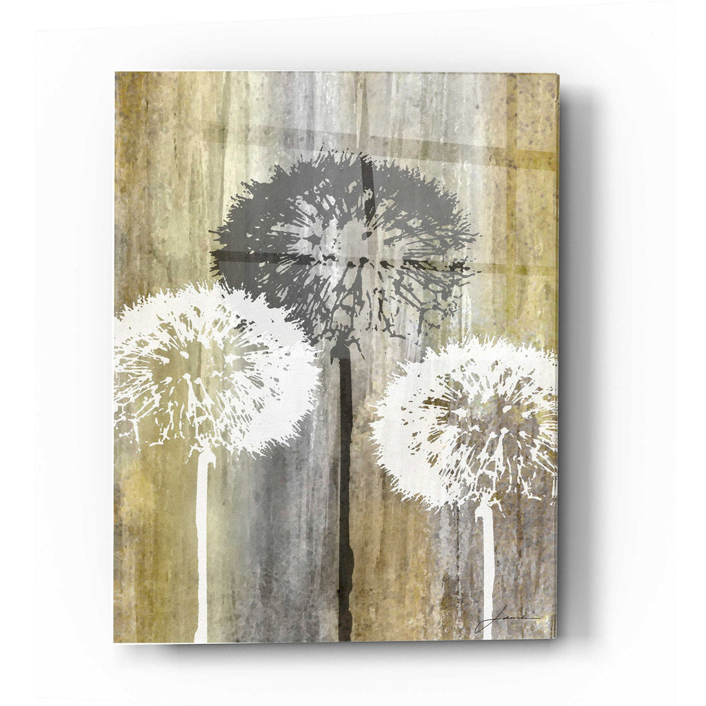 Epic Art 'Rustic Garden II' by James Burghardt, Acrylic Glass Wall Art