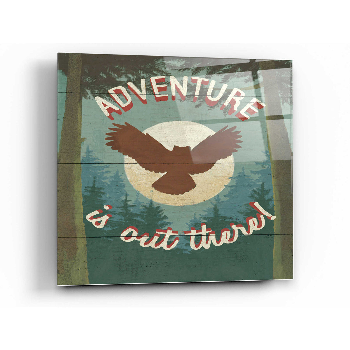Epic Art 'Discover the Wild IV' by Janelle Penner, Acrylic Glass Wall Art