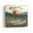 Epic Art 'Discover the Wild II' by Janelle Penner, Acrylic Glass Wall Art