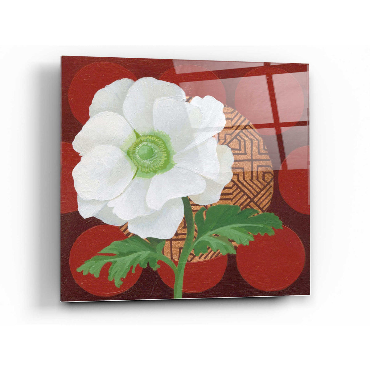 Epic Art 'Morning Anemone' by Kathrine Lovell, Acrylic Glass Wall Art