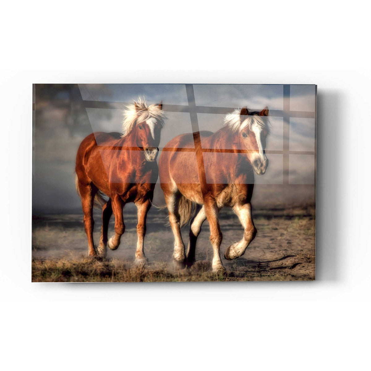 Epic Art 'Trotting,' Acrylic Glass Wall Art