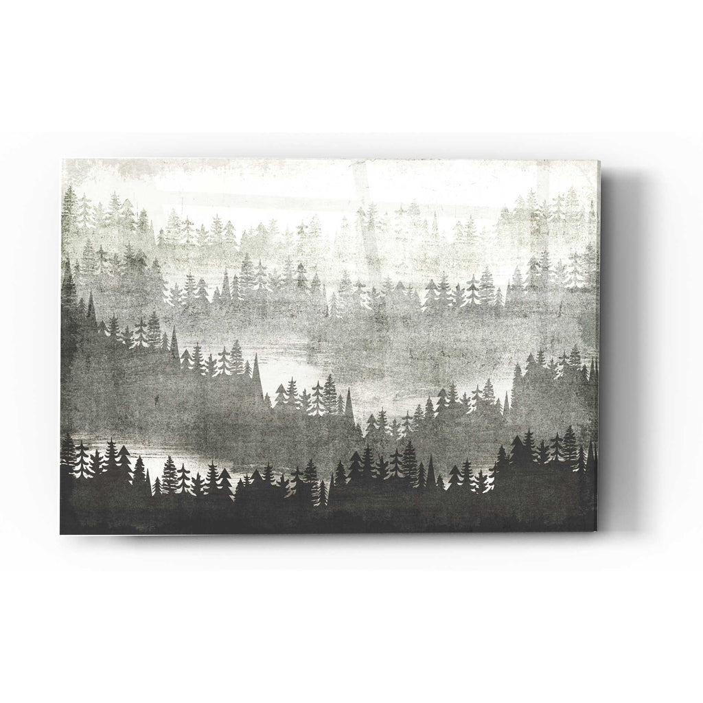 Epic Art 'Mountainscape Silver' by Michael Mullan, Acrylic Glass Wall Art
