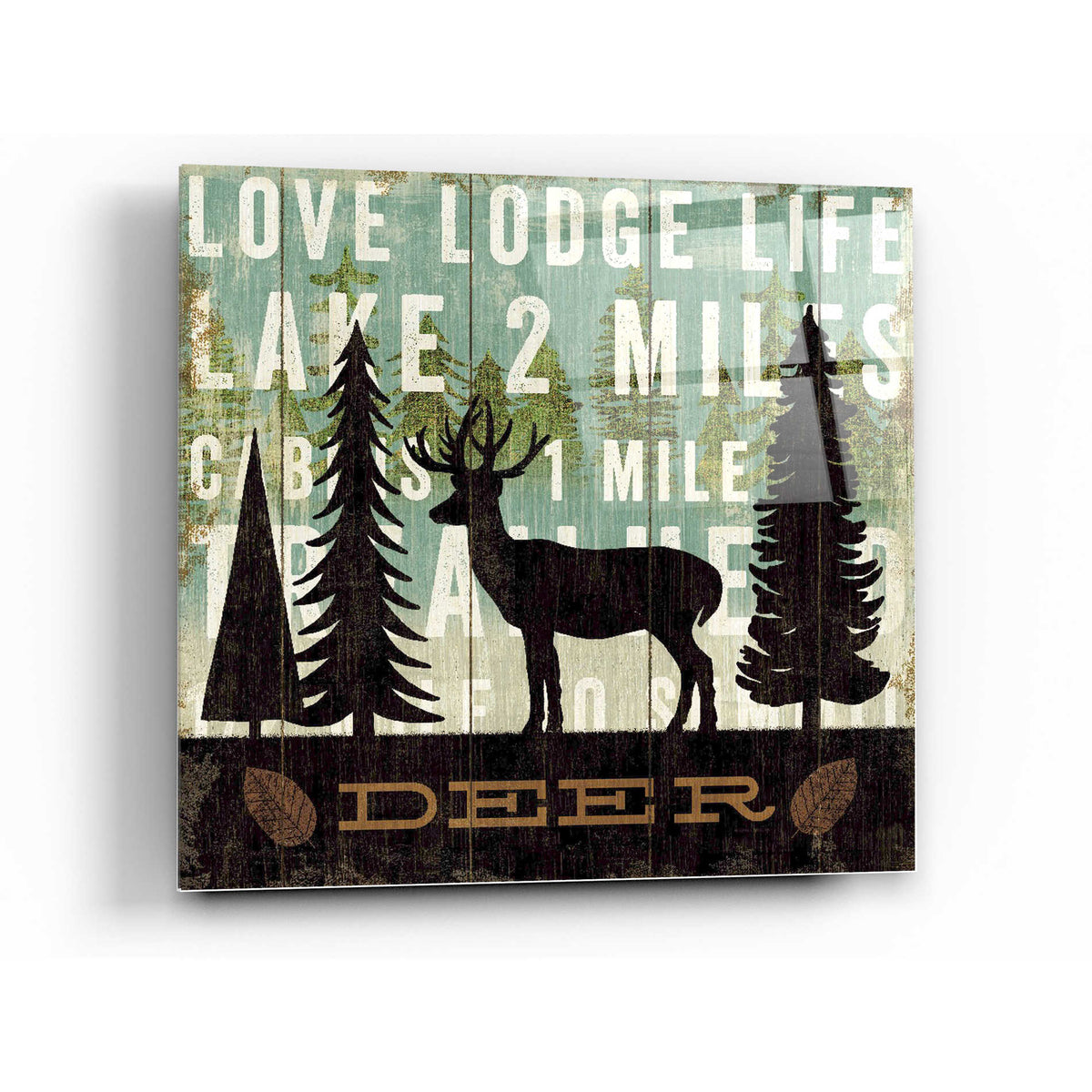 Epic Art 'Simple Living Deer' by Michael Mullan, Acrylic Glass Wall Art