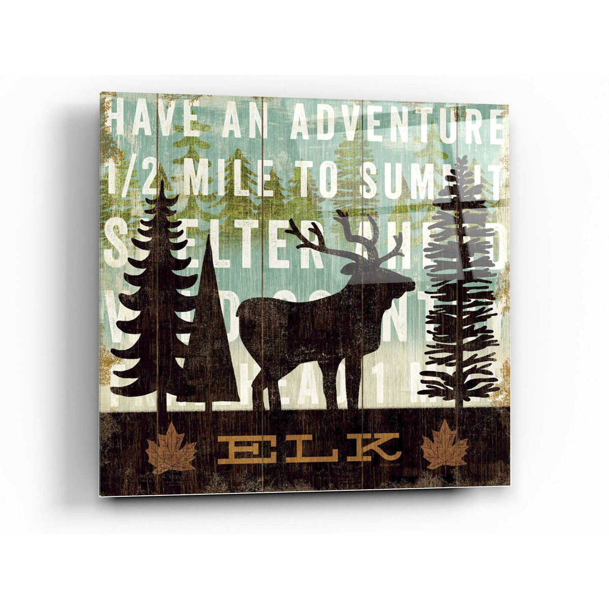 Epic Art 'Simple Living Elk' by Michael Mullan, Acrylic Glass Wall Art