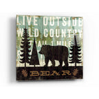 Epic Art 'Simple Living Bear' by Michael Mullan, Acrylic Glass Wall Art